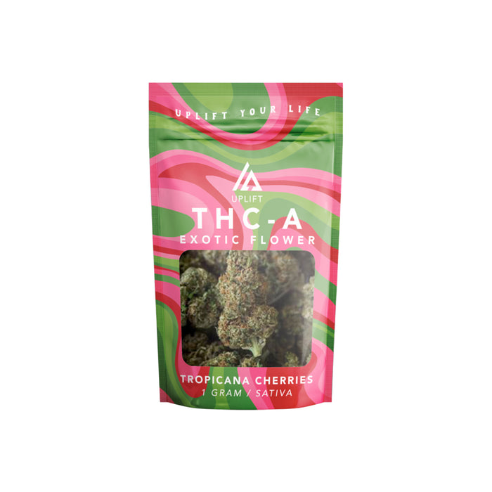 Uplift 1G THC-A (Price of 1 Piece) product_type